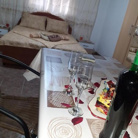 Studio-Apartman Milena 2 Podgorica Luaran gambar